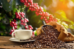Chocolate Coffee – A Decadent Coffee Treat